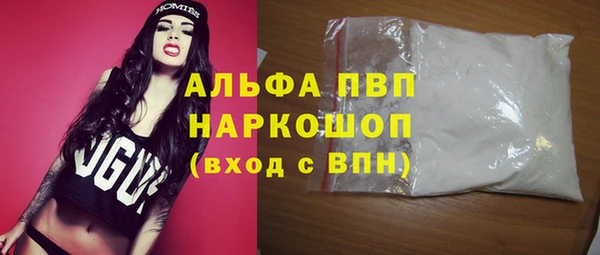 индика Богородицк