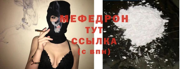 индика Богородицк