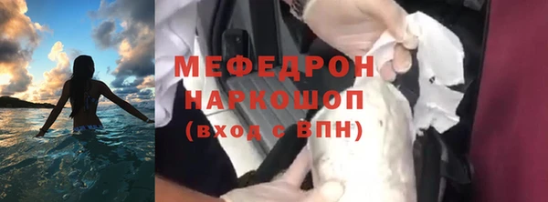 индика Богородицк