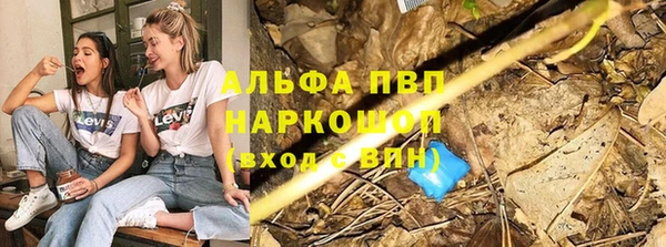 гашик Богородск