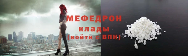индика Богородицк