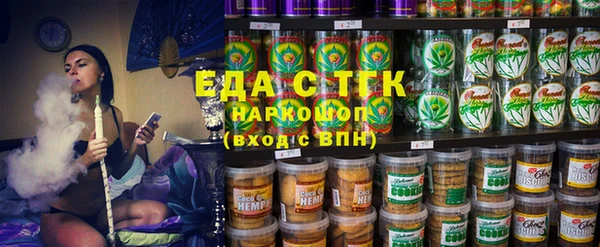 индика Богородицк