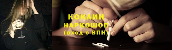 спайс Богданович
