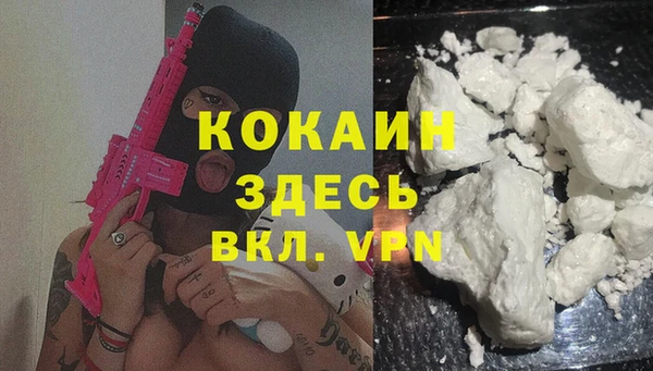 индика Богородицк