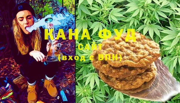 индика Богородицк