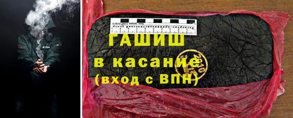 индика Богородицк