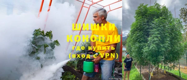 спайс Богданович