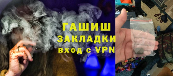 индика Богородицк
