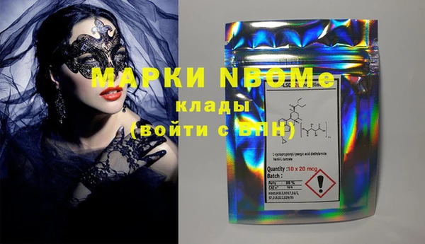 индика Богородицк