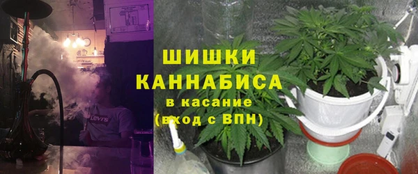 индика Богородицк