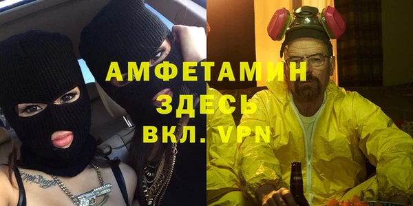 индика Богородицк