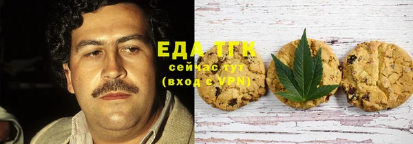 индика Богородицк