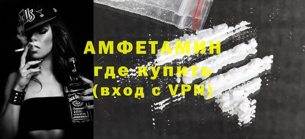 спайс Богданович