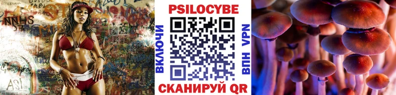 OMG ссылка Котельниково Псилоцибиновые грибы мухоморы